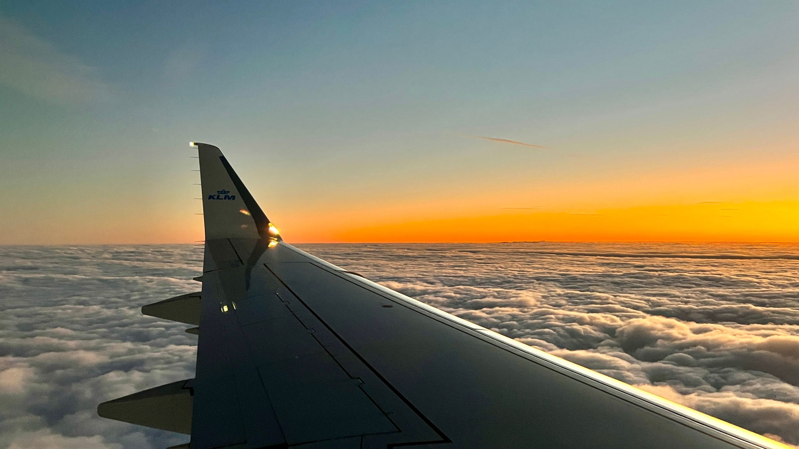 Semplice volare in volo: recensioni di Top Trip di March