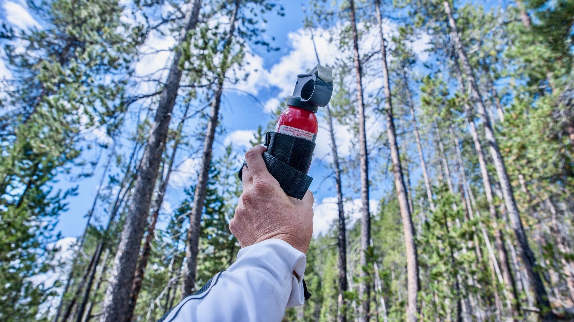 Pense duas vezes em transportar spray de urso neste verão