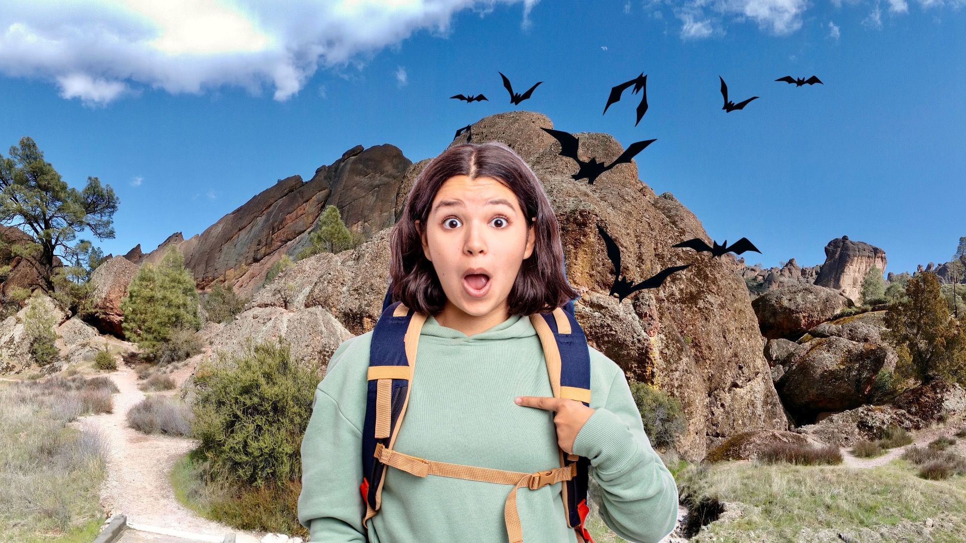 Cuidado com os morcegos neste popular parque nacional