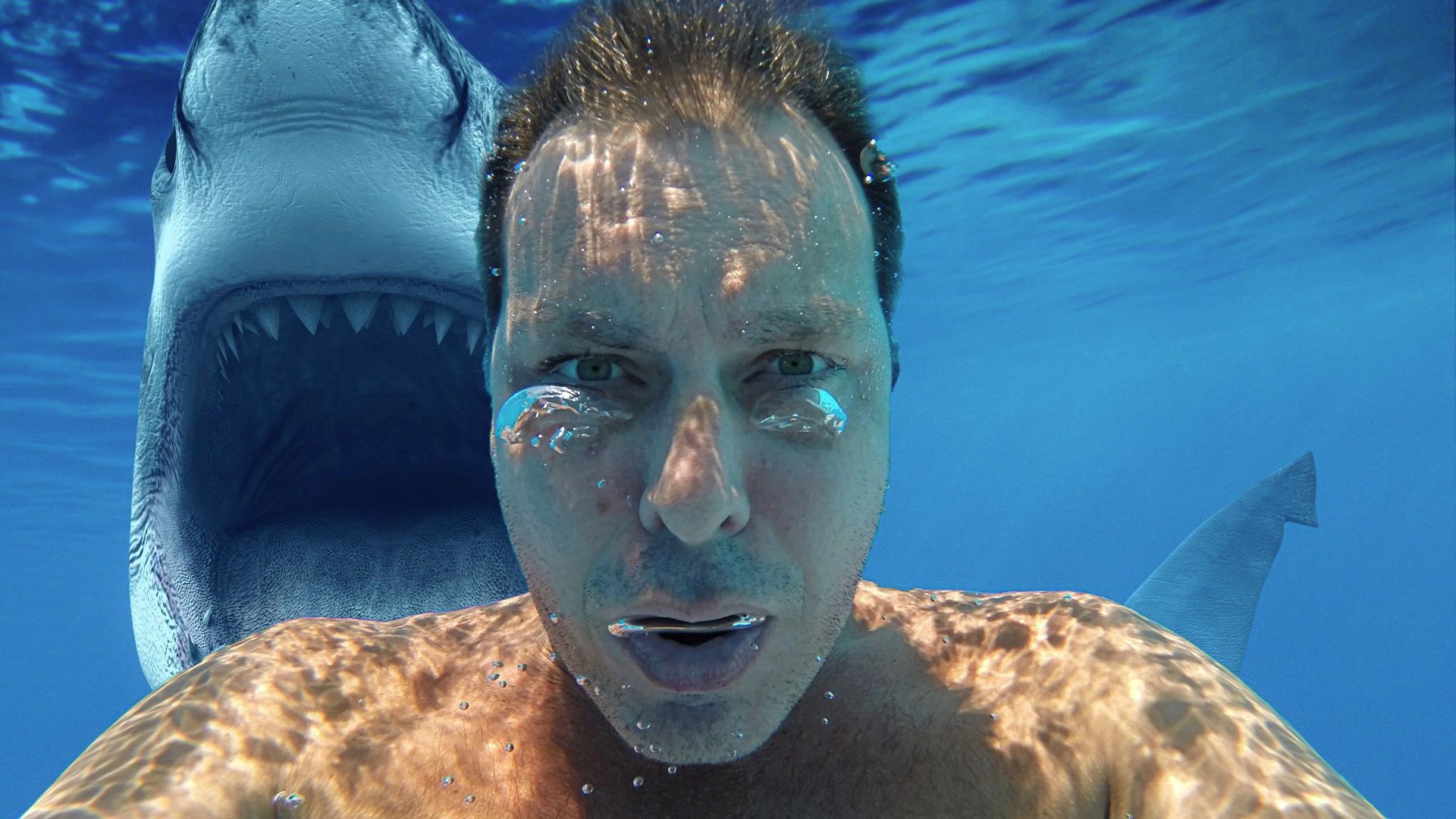 7 endroits surprenants que vous ne vous attendriez pas à trouver des requins (mais faites)