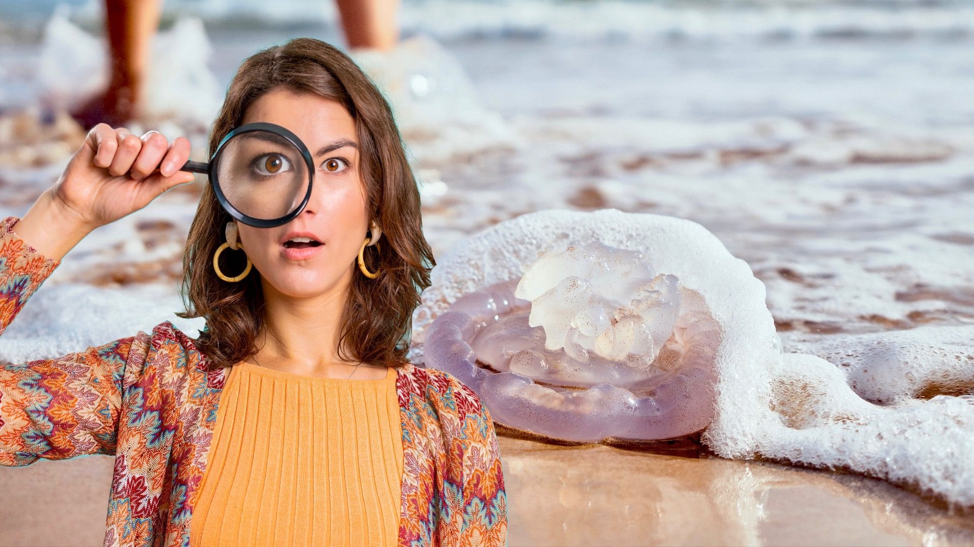 Ces plages ont le plus de rencontres de méduses aux États-Unis