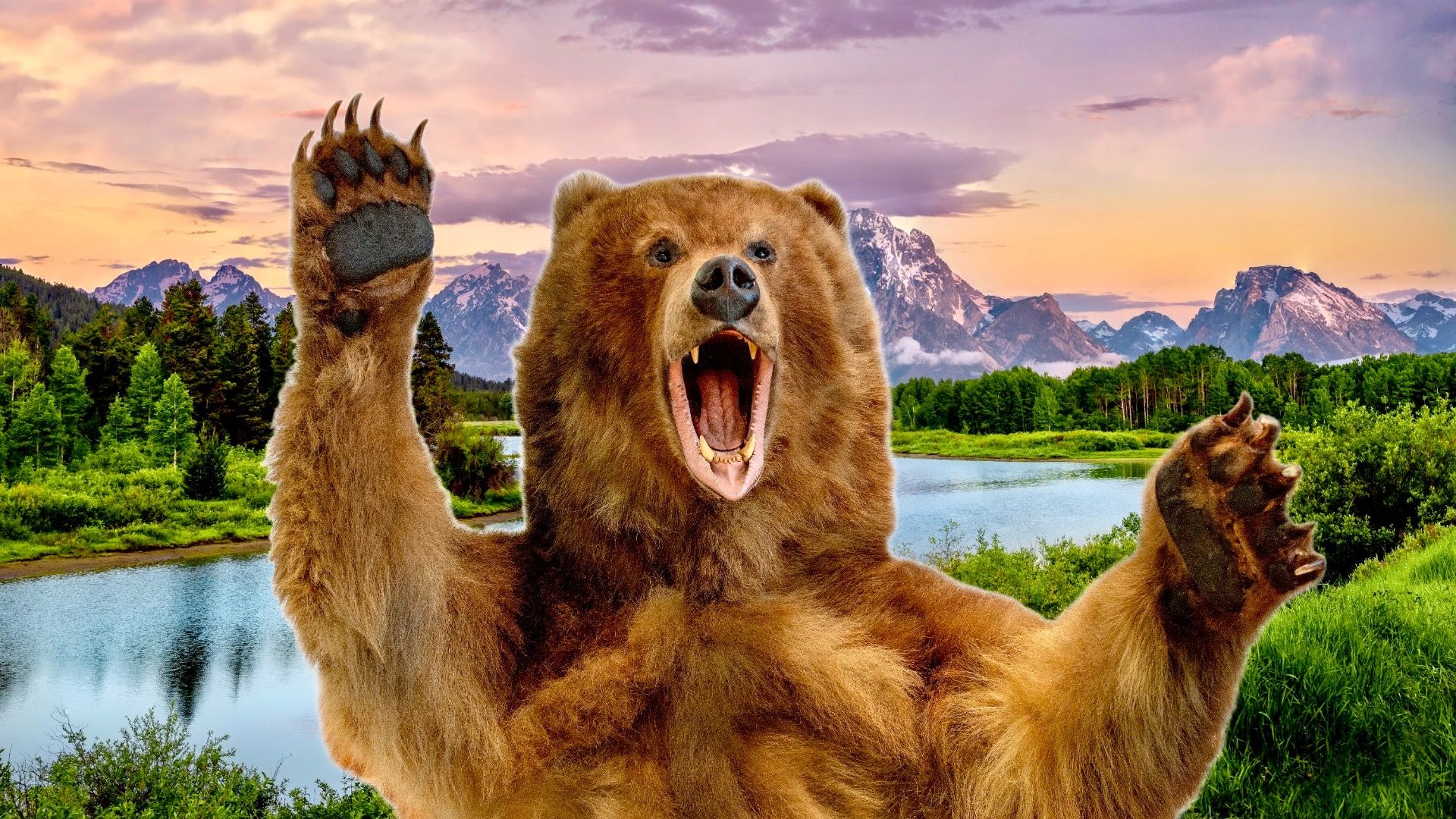 Dangers cachés de Yosemite: 7 choses auxquelles vous ne vous attendez pas dans un parc national