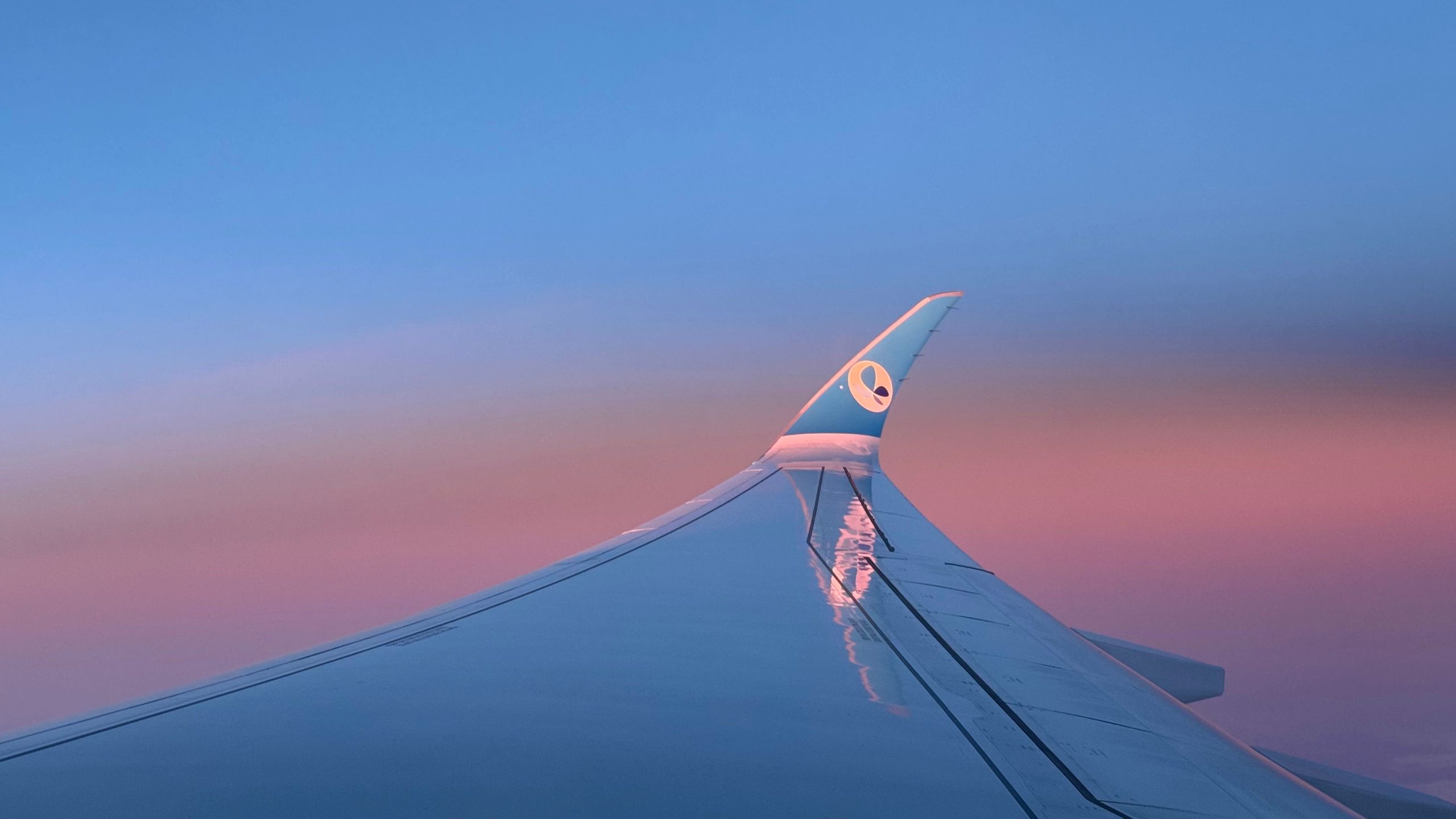 Revisão de voo: Airbus Airbus A350 em Eco Blue de Paris Orly para Newark