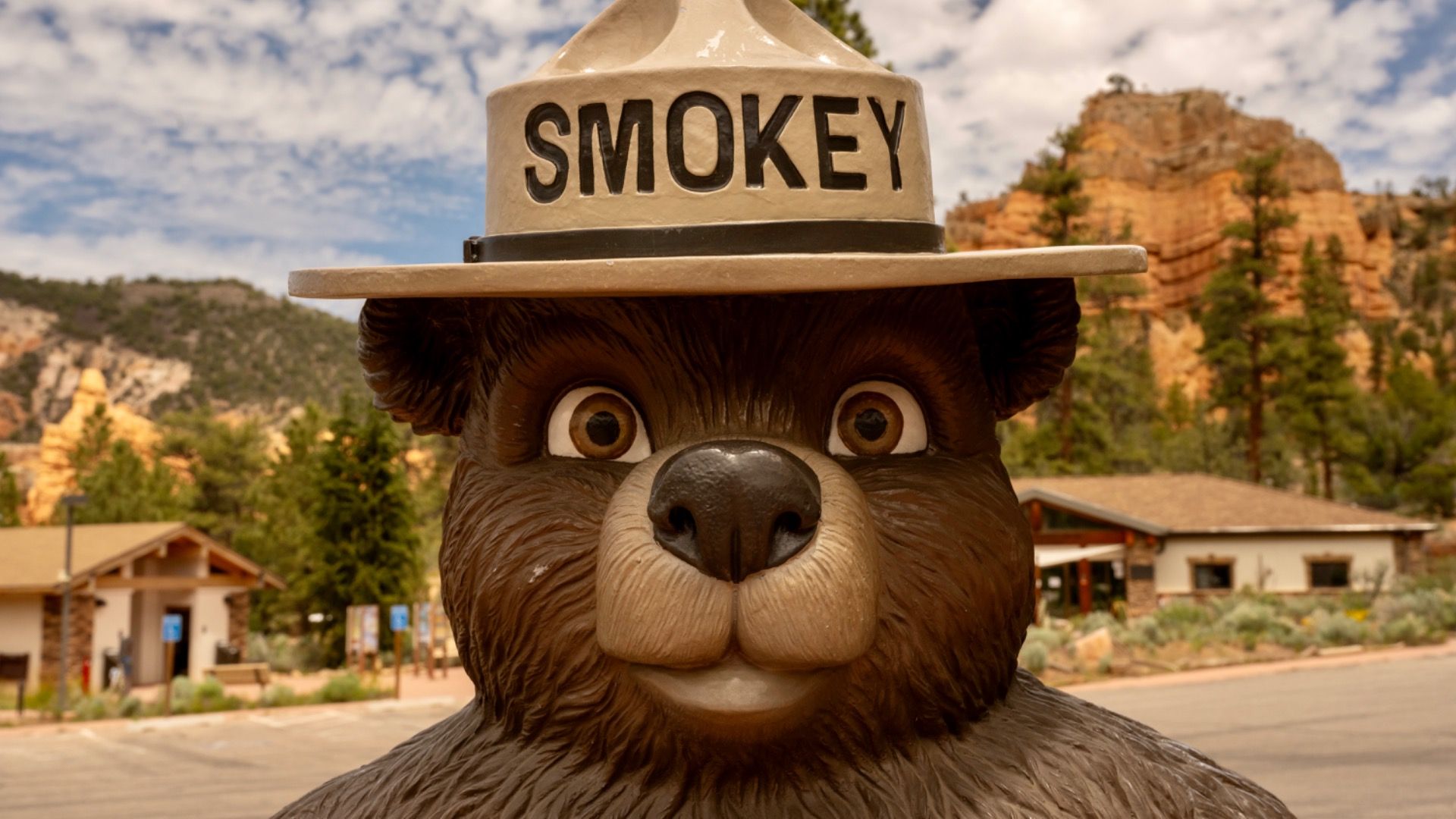 Esta tendencia peligrosa ha cobrado muchas vidas en los parques nacionales.