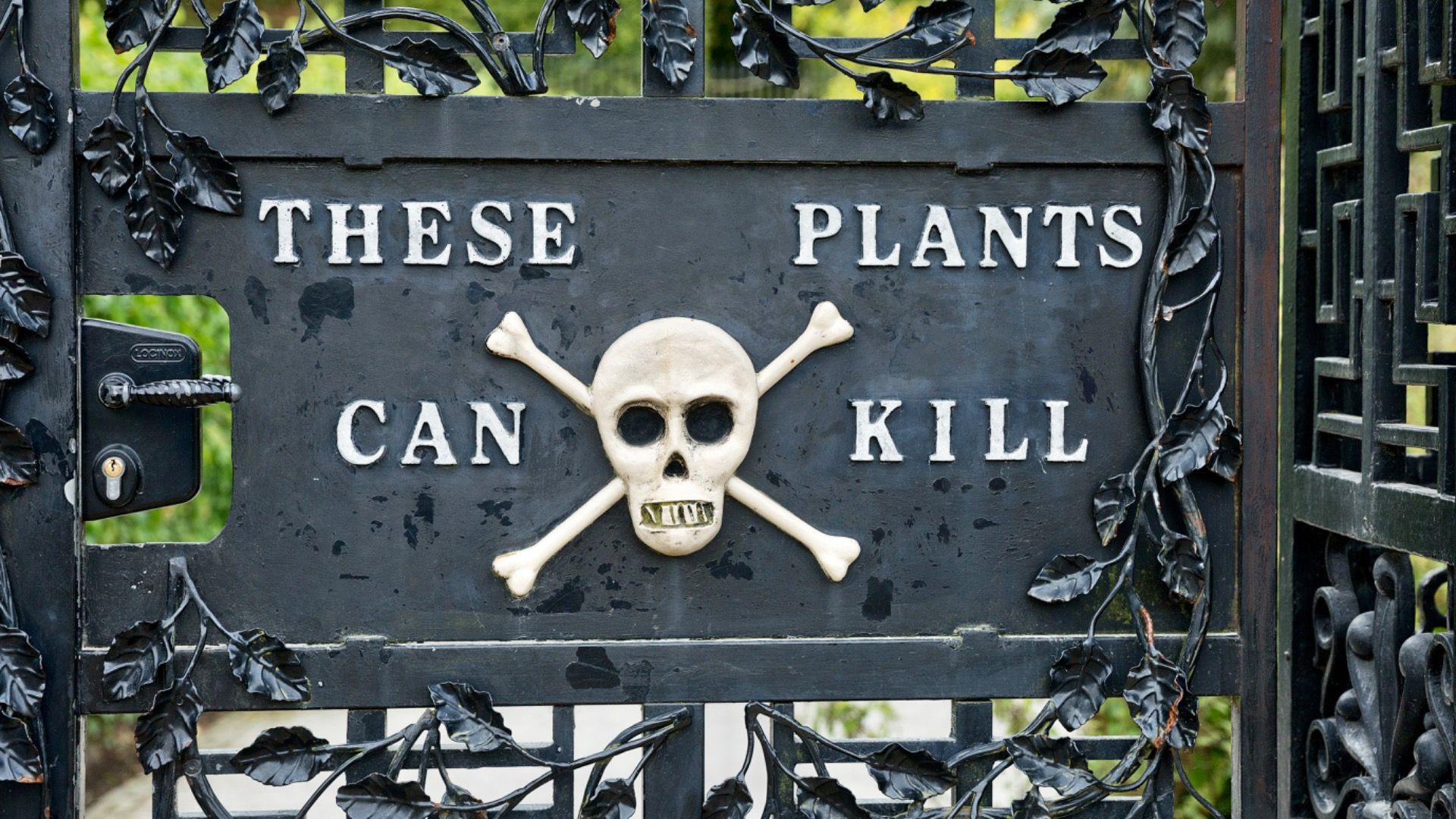 O jardim mais exclusivo do mundo também pode matá