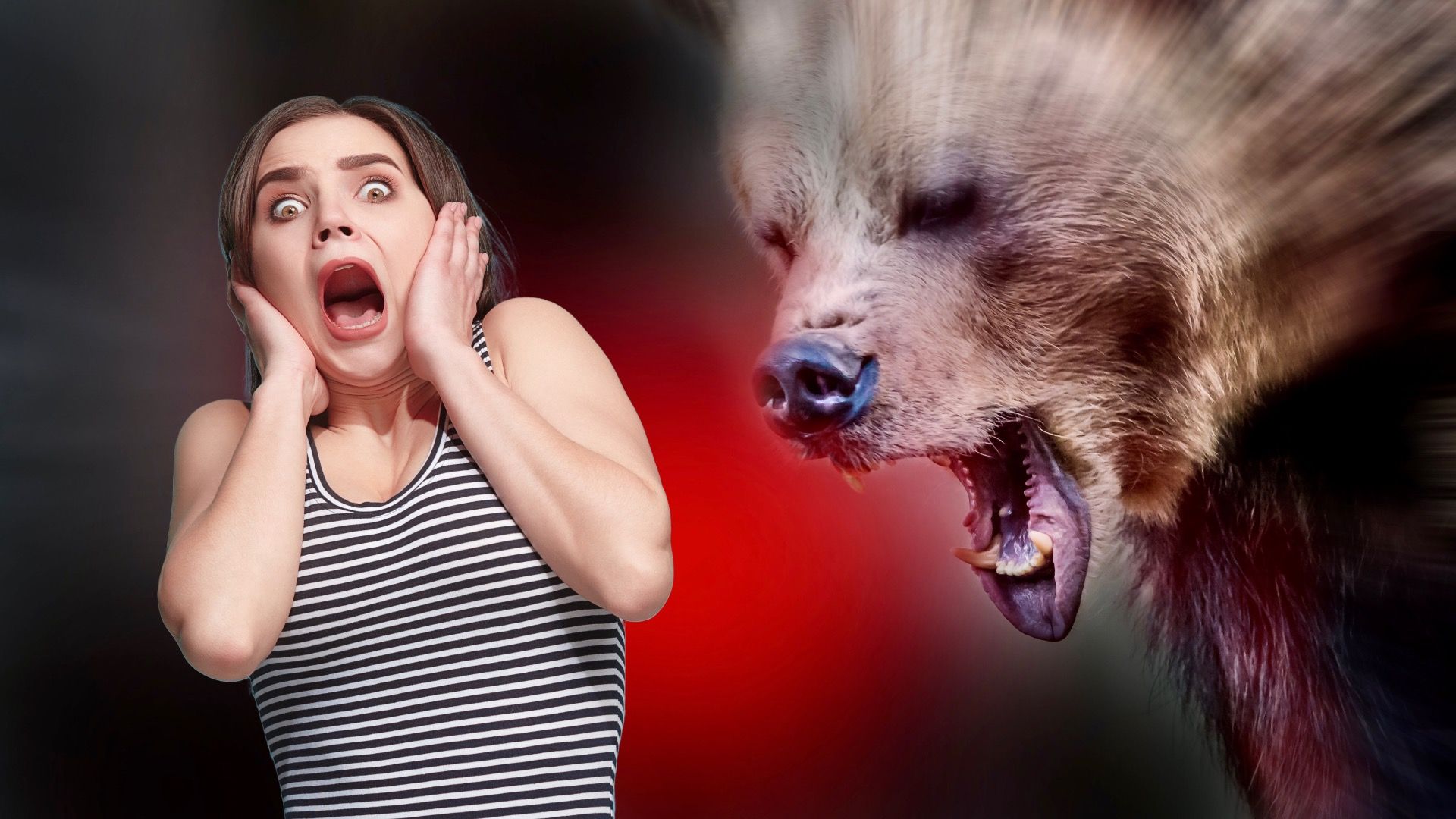 Alaska a las Montañas Rocosas: 10 Historias de encuentros de oso que sirven como advertencia