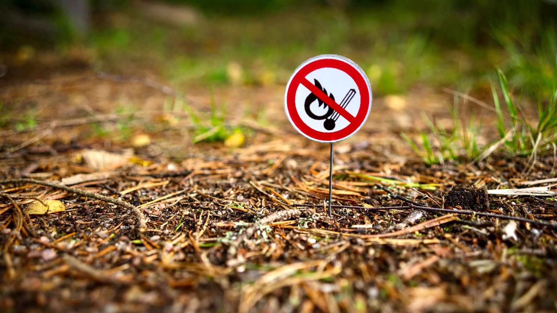 Les parcs d'État interdisent les feux de camp: que faire comme alternative