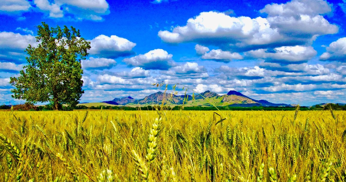 La plus petite chaîne de montagnes du monde se trouve dans le nord de la Californie