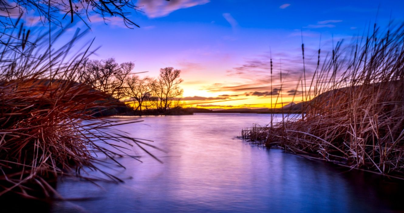 10 viajes por carretera de Arizona que lo llevarán más allá de sus puntos de referencia más pintorescos