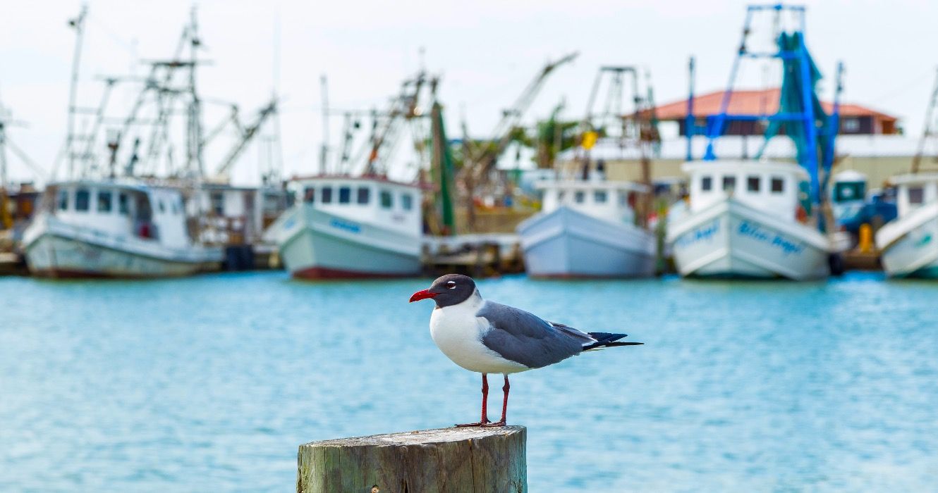 10 villes balnéaires américaines abordables, classées au prix des maisons