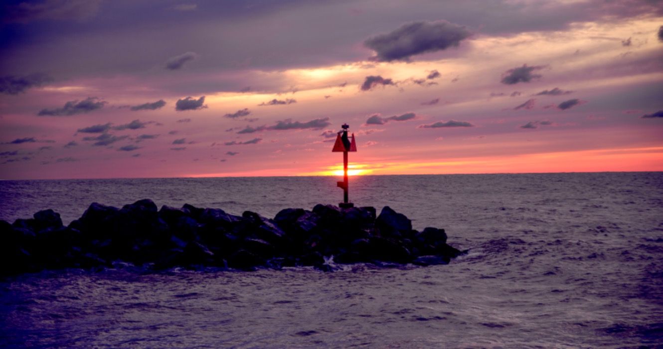 Gator on the Loose: Alligator visto en el lago Erie