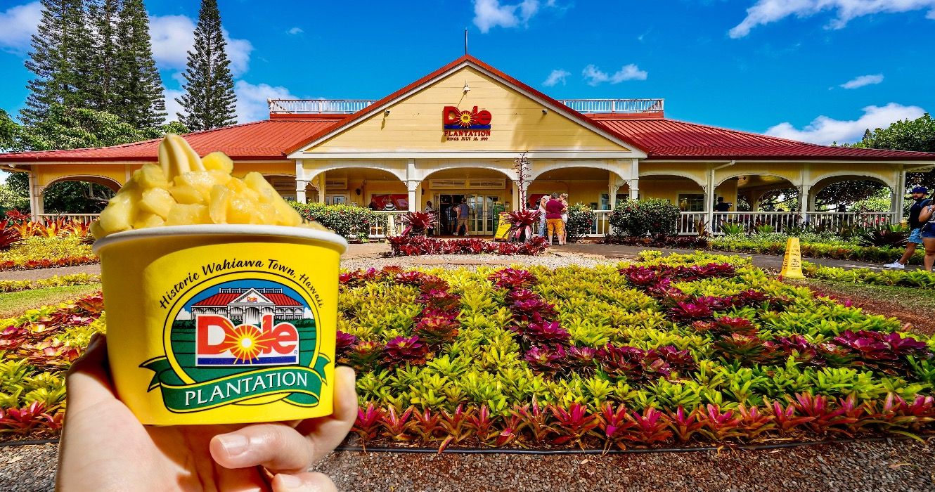 Dole Plantation et autres pièges à touristes à Hawaï pour sauter