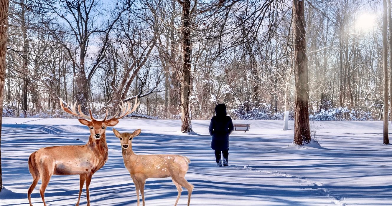 7 pequeñas ciudades asequibles para jubilarse en Nueva York