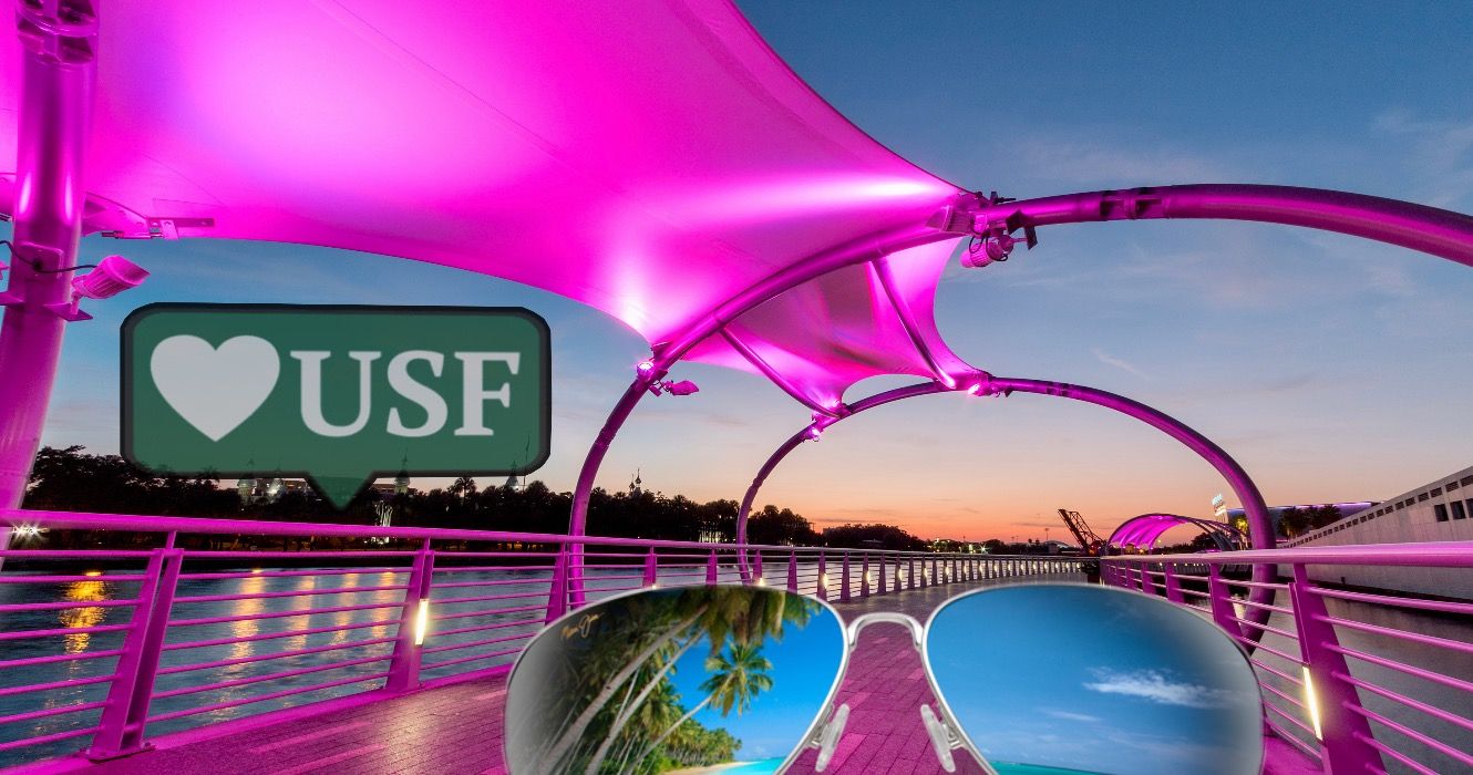 7 cosas sobre cómo es realmente vivir en Tampa