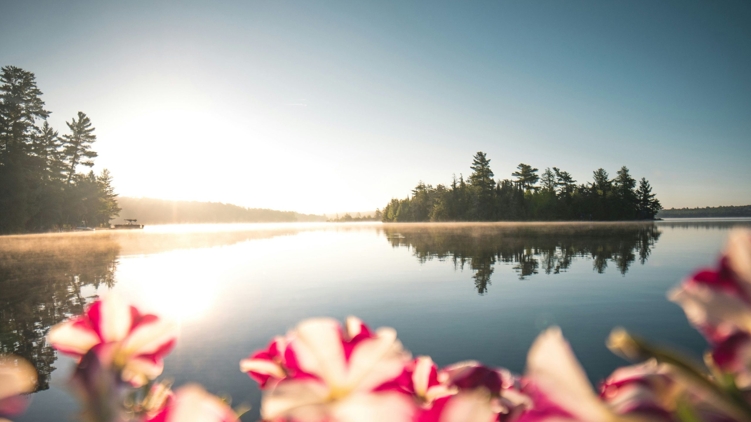 Todas las provincias de Canadá, clasificadas por tamaño