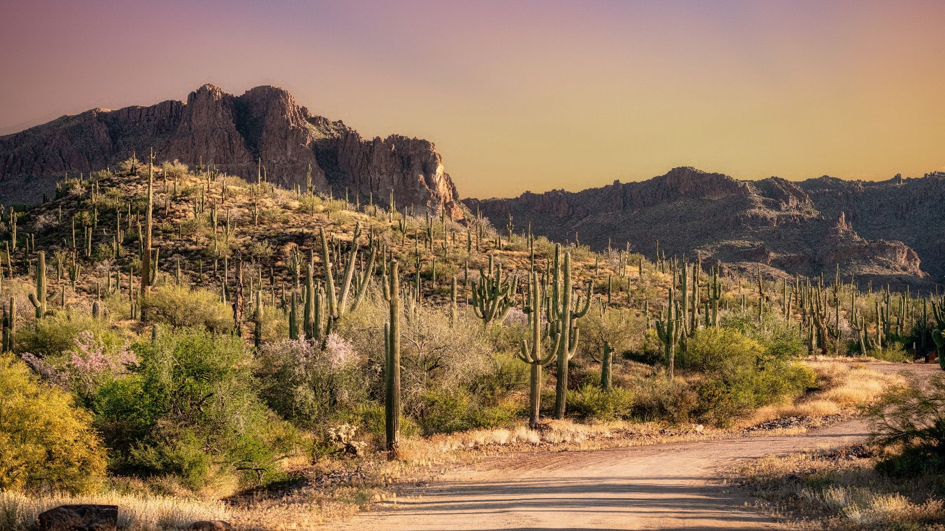 Il y a la rage dans ce surprenant parc national de l'Arizona