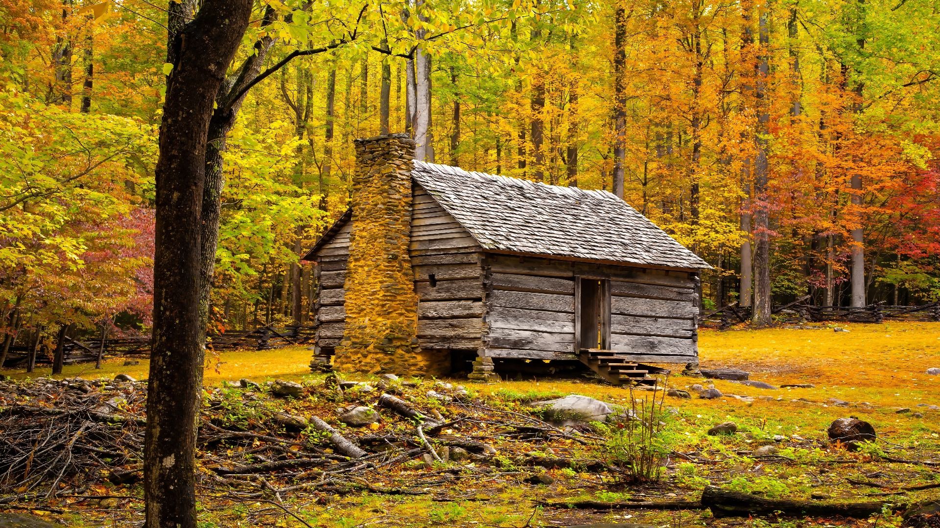 7 de los mejores parques nacionales de los Estados Unidos este otoño