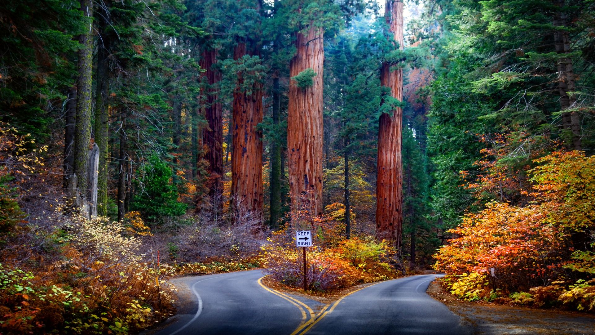 L'automne est le meilleur moment pour visiter ce parc national de Californie