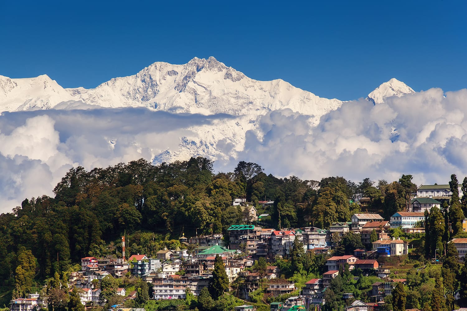 15 mejores cosas que hacer en Darjeeling y mucho más