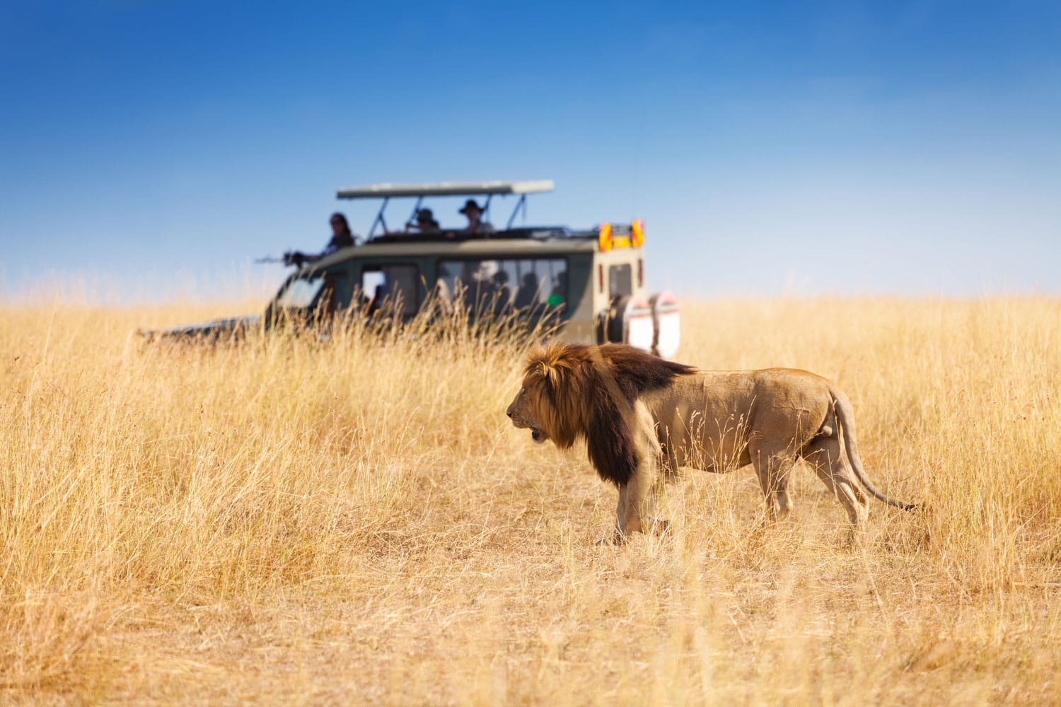 Top 10 destinos de safari en África