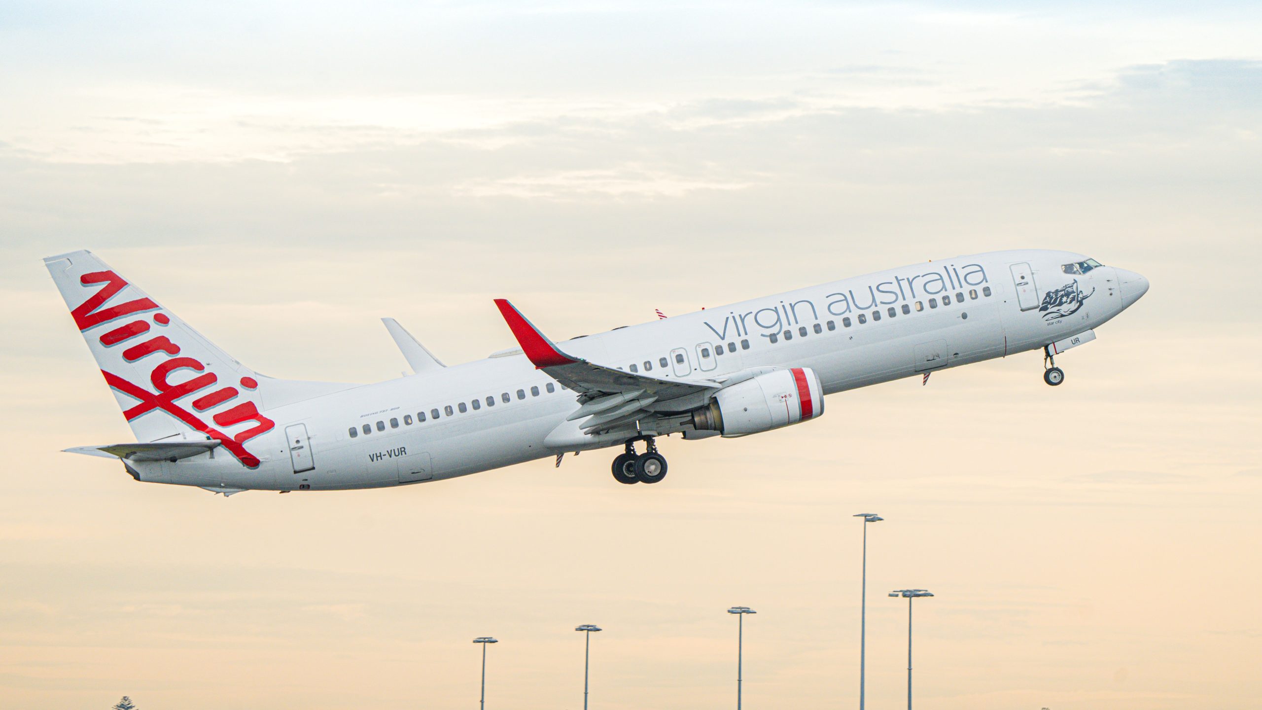 Virgin Australia annonce les tout premiers animaux de compagnie d'Australie à bord