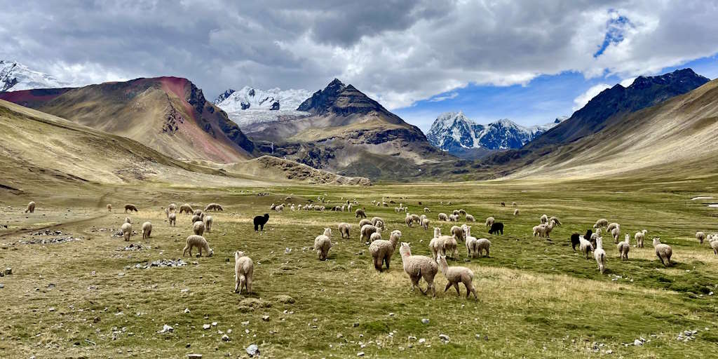 Ausangate Trek: 5 jours magiques dans les Andes péruviennes
