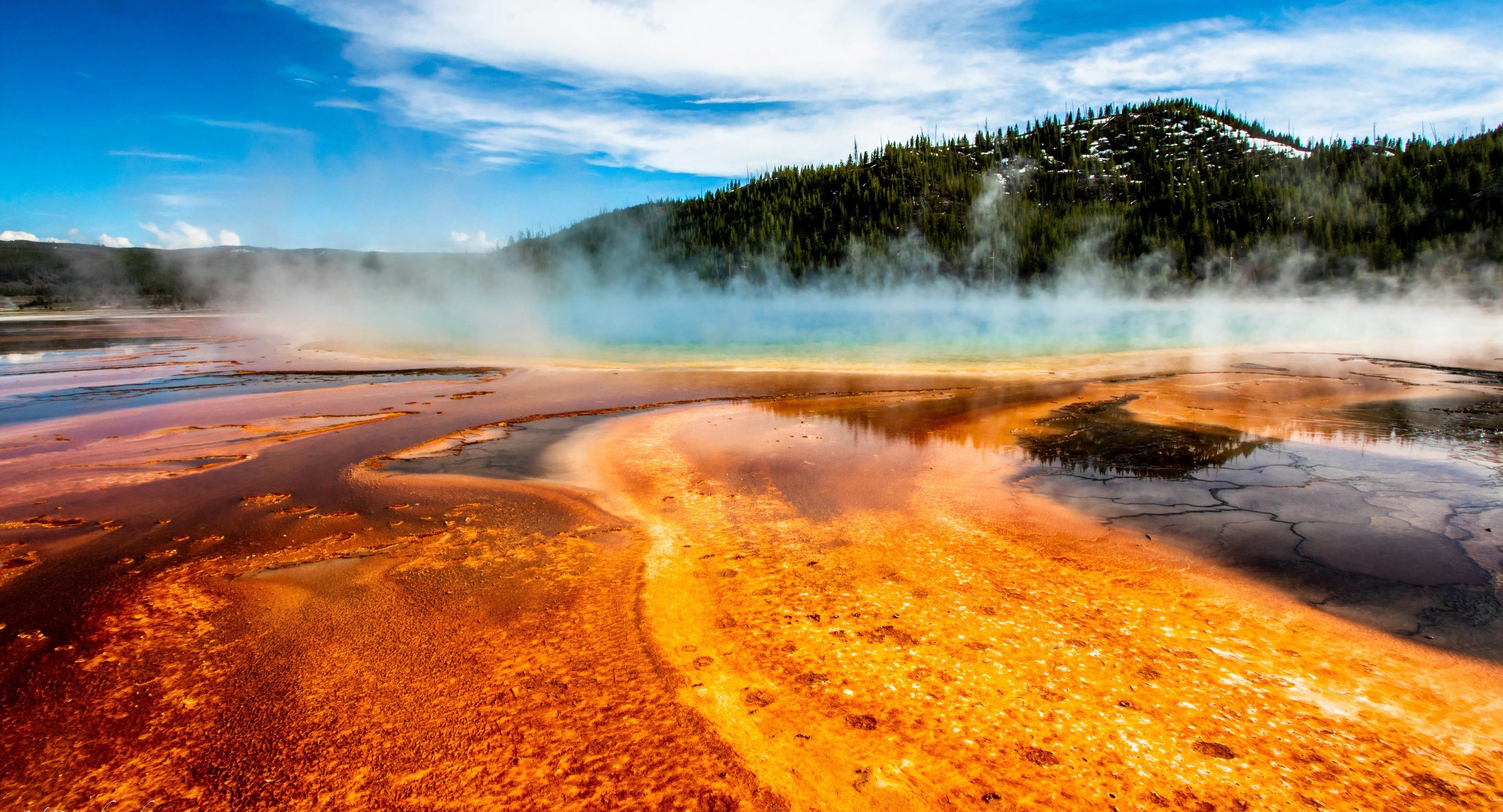 Les hommes sont plus susceptibles de mourir au parc national de Yellowstone: voici la cause la plus courante de décès