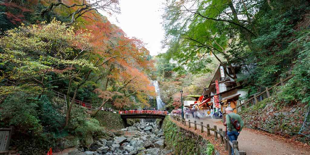 3 promenades en plein air à Osaka qui vous coupent le souffle