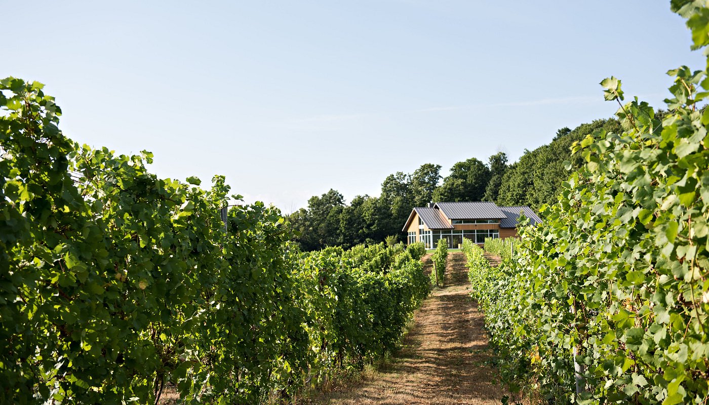 4 régions du Northern RV pour les visites et dégustations de cave