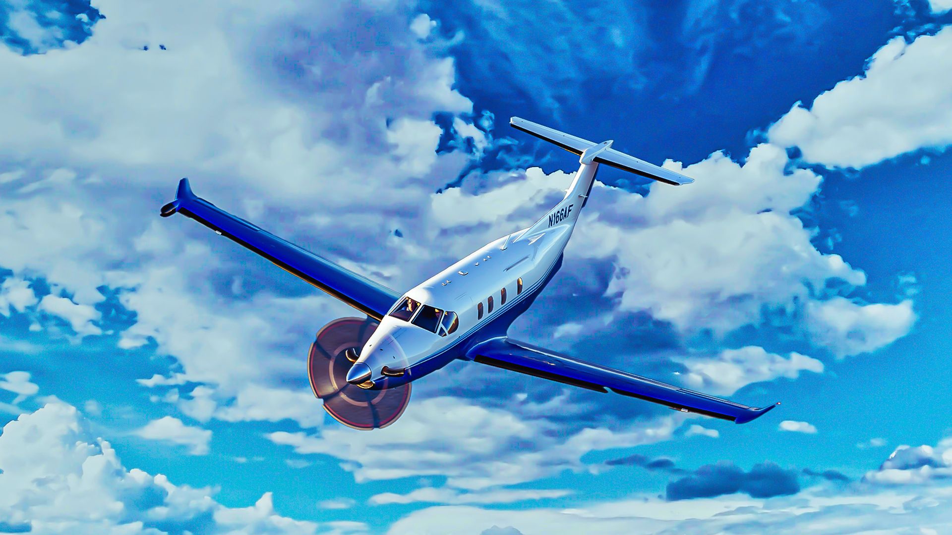 Todos los aviones de Pilatus: una mirada más cercana a Planesense