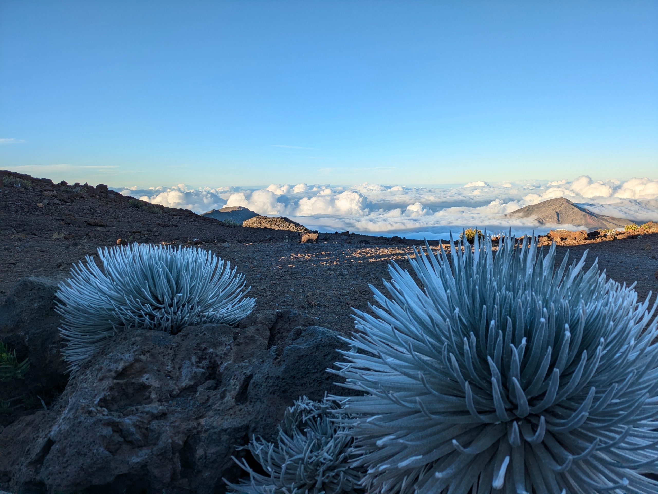 Majestic Maui: mi viaje de día al valle īao y el parque nacional de Haleakalā