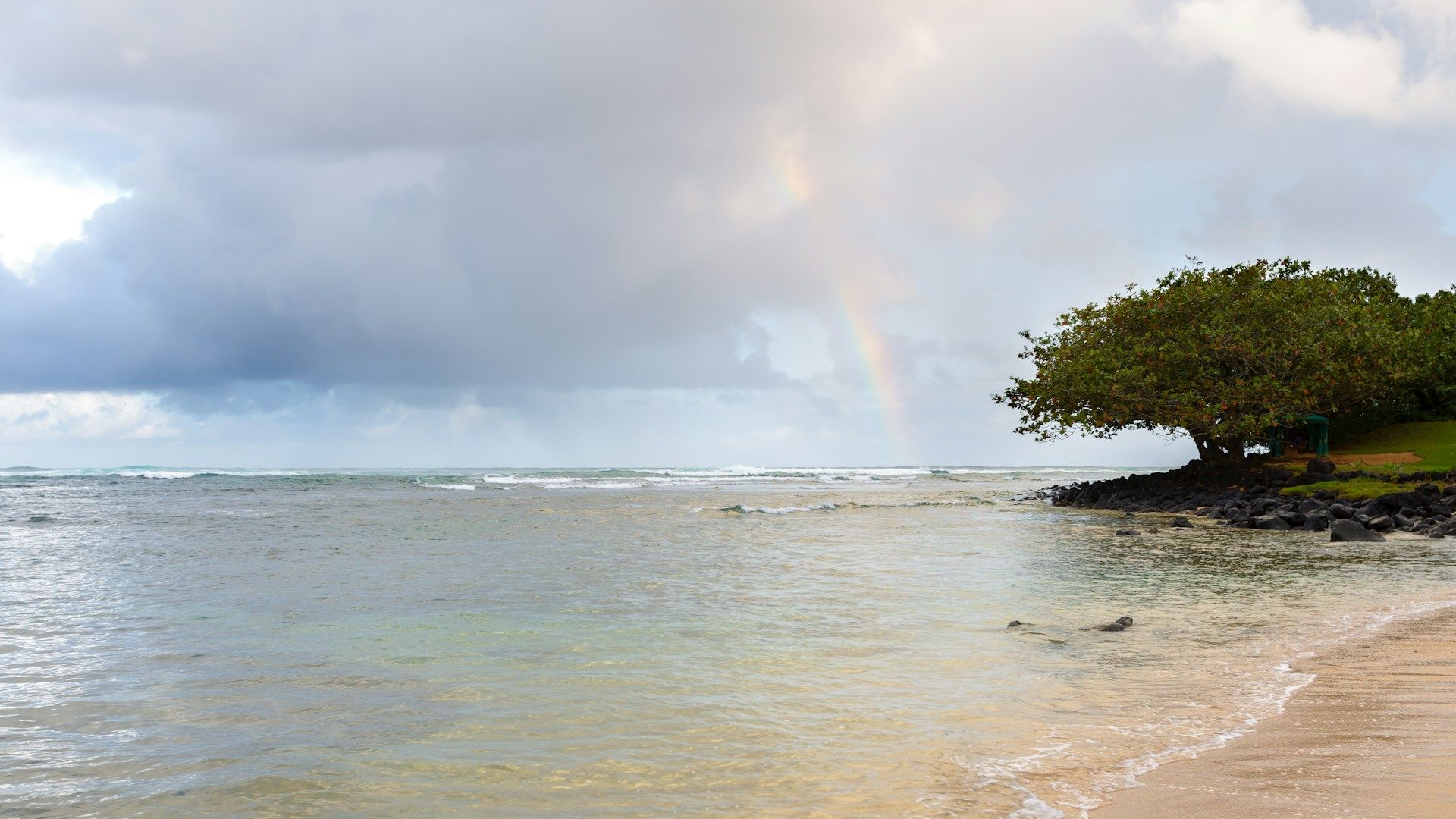 8 de los estados más húmedos de Estados Unidos obtienen más de 4.5 pies de lluvia
