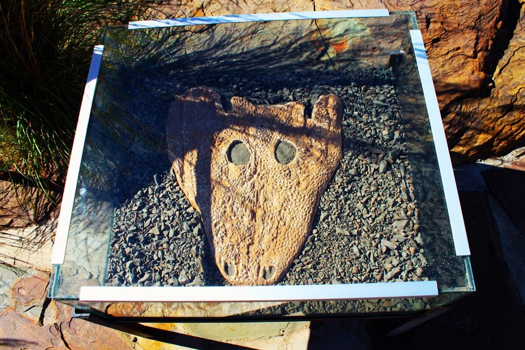 Des tombes préhistoriques avec d'étranges crânes d'animaux ont été trouvés dans cet état