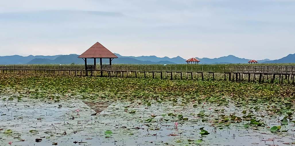 Explorer la route côtière royale de la Thaïlande pendant Covid-19