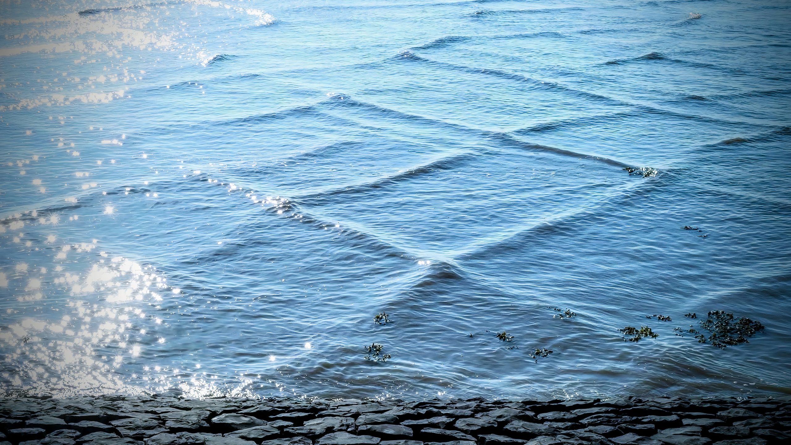 Pourquoi les vagues «carrées» signifient que vous devez sortir de l'eau