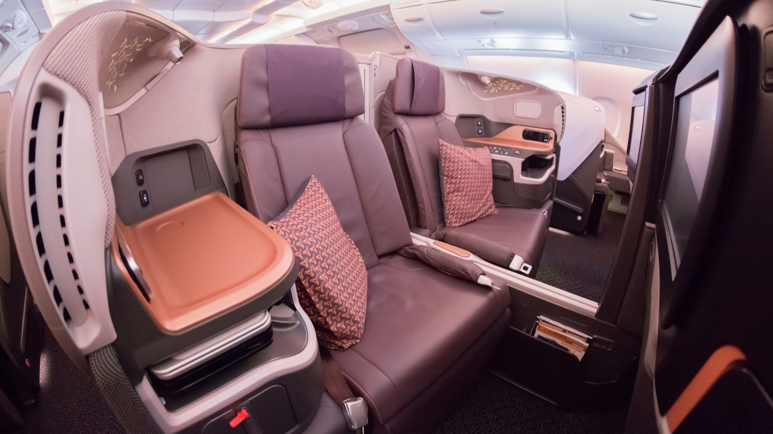 Spotted: Dalmatian vole sur Singapore Airlines Business Class au Japon