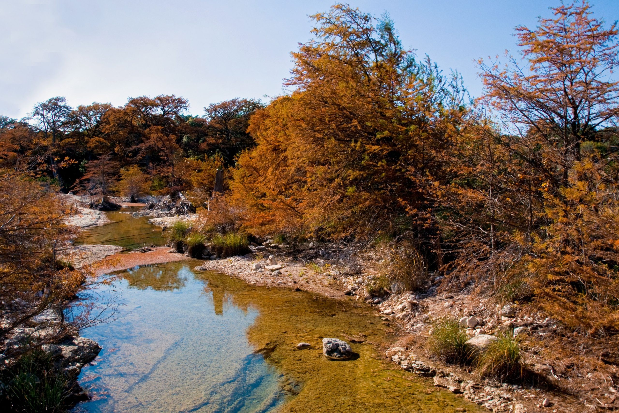 7 (surprenant) Texas Spots où vous pouvez voir les couleurs d'automne