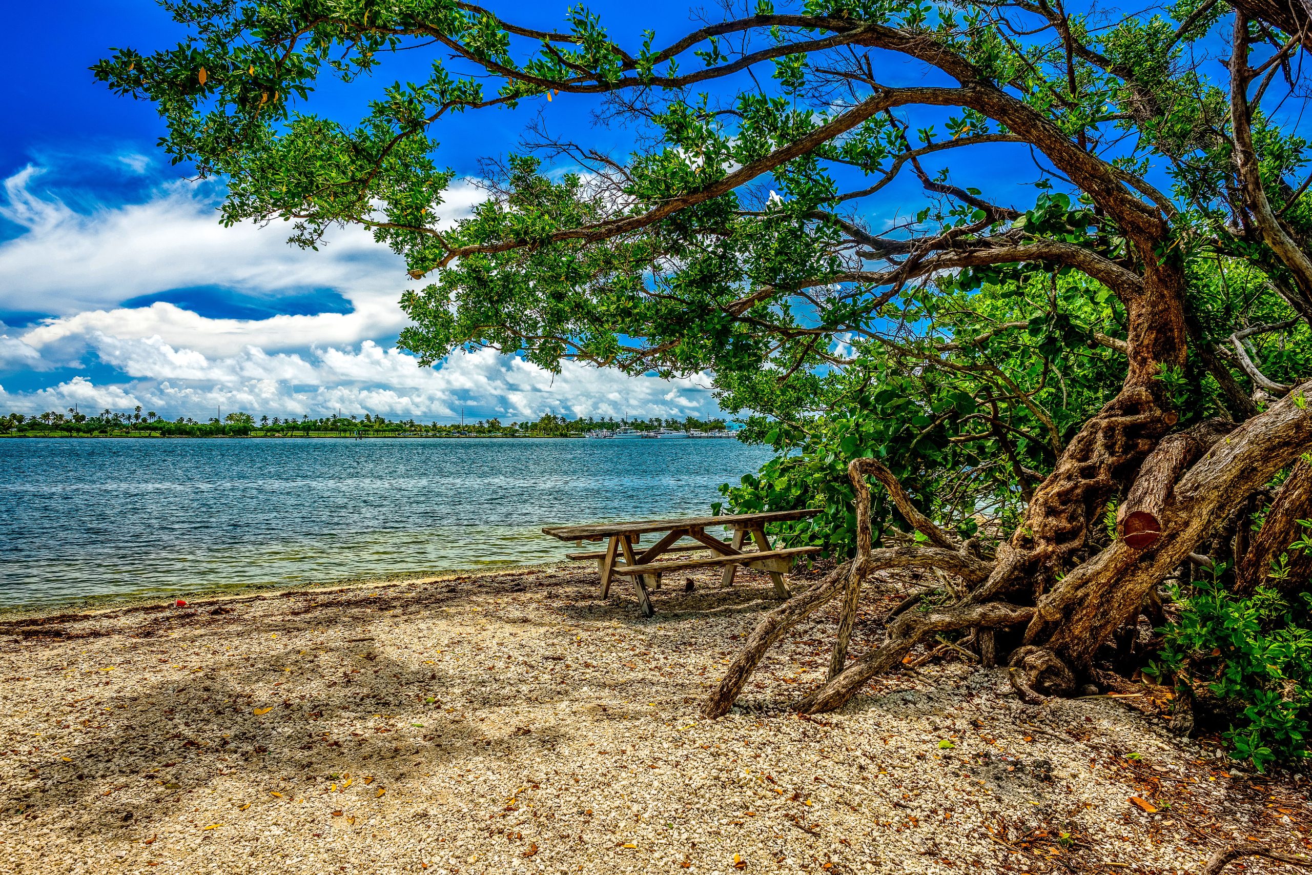 Este pequeño "Everglades" con playas como caribeñas es el parque urbano más grande de Florida
