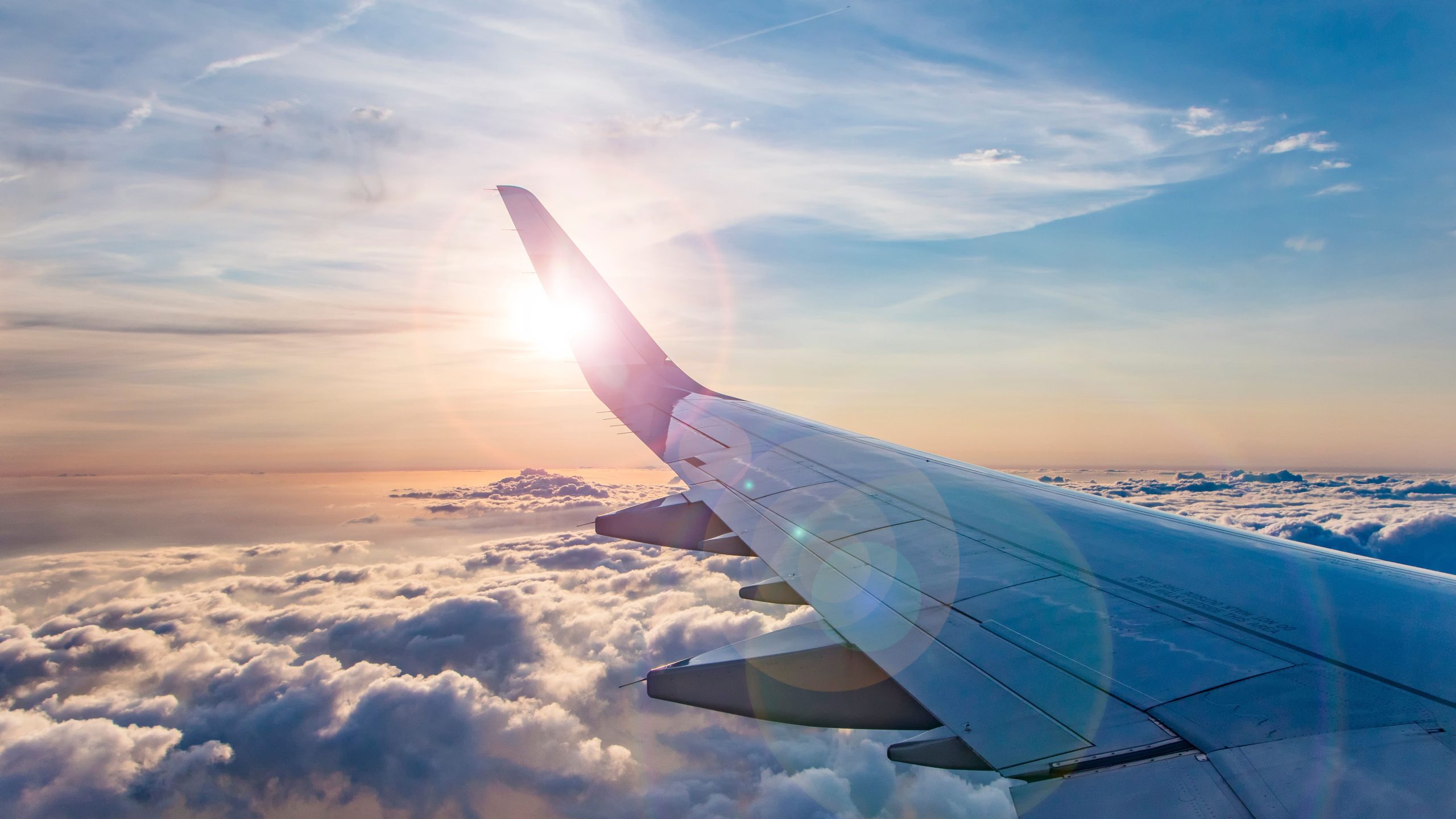 Semplice volante in volo: le migliori recensioni di volo di gennaio