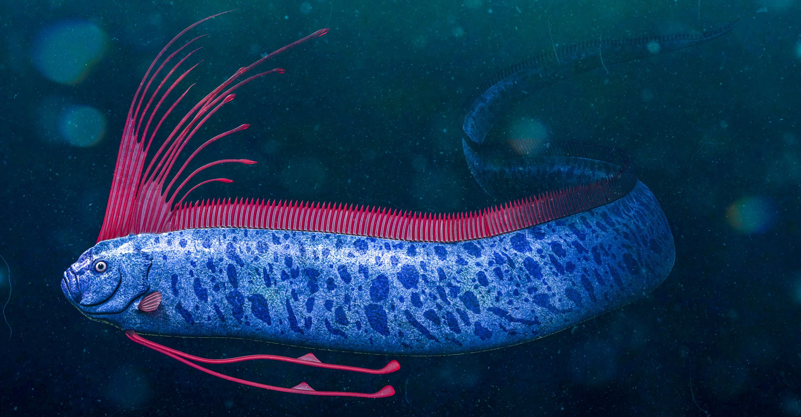 Lendas dizem que os peixes do dia do juízo final avisam de terremotos e a história está cheia de exemplos arrepiantes