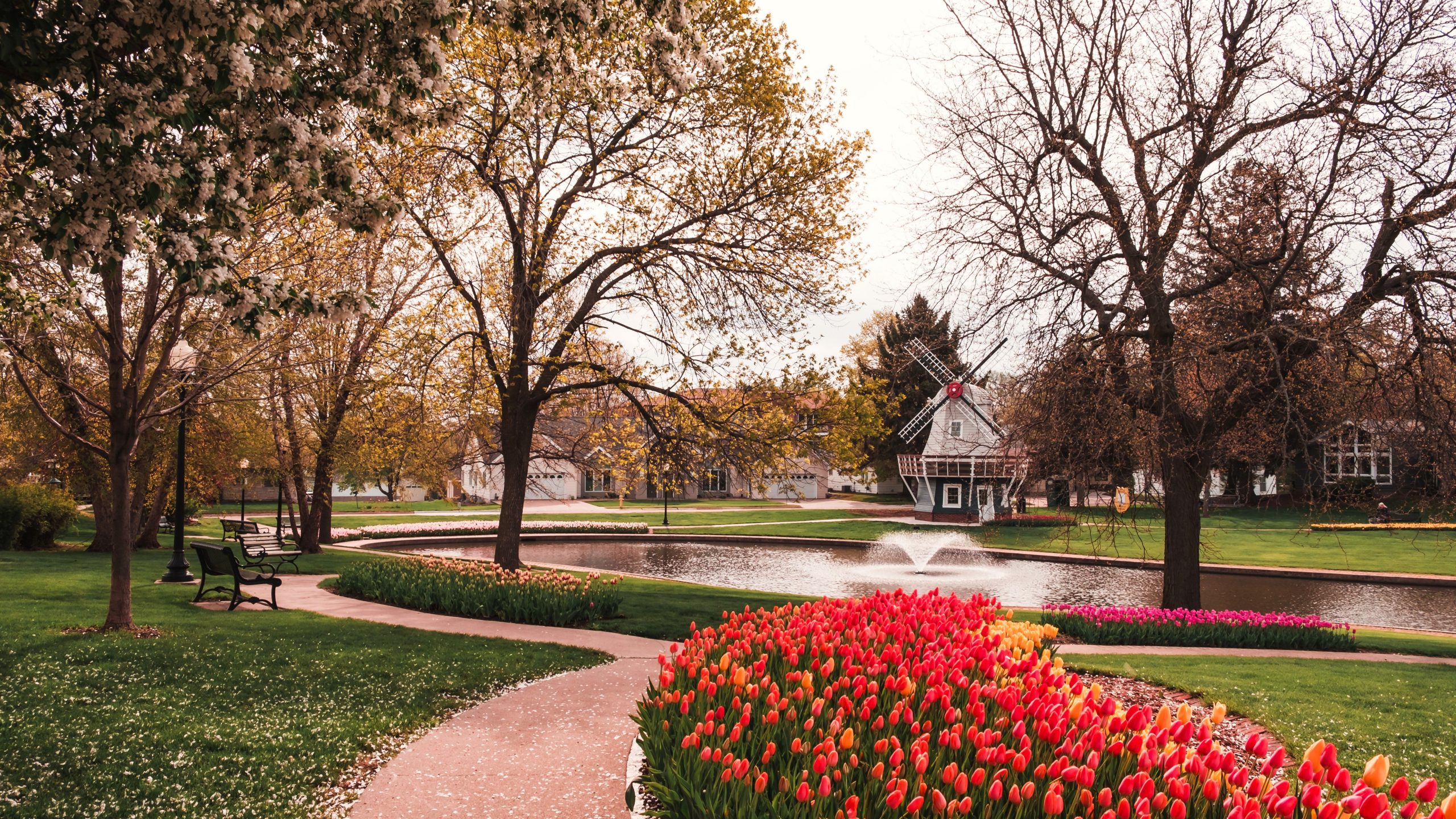 Cette petite ville est le «petit Hollande de l'Amérique»