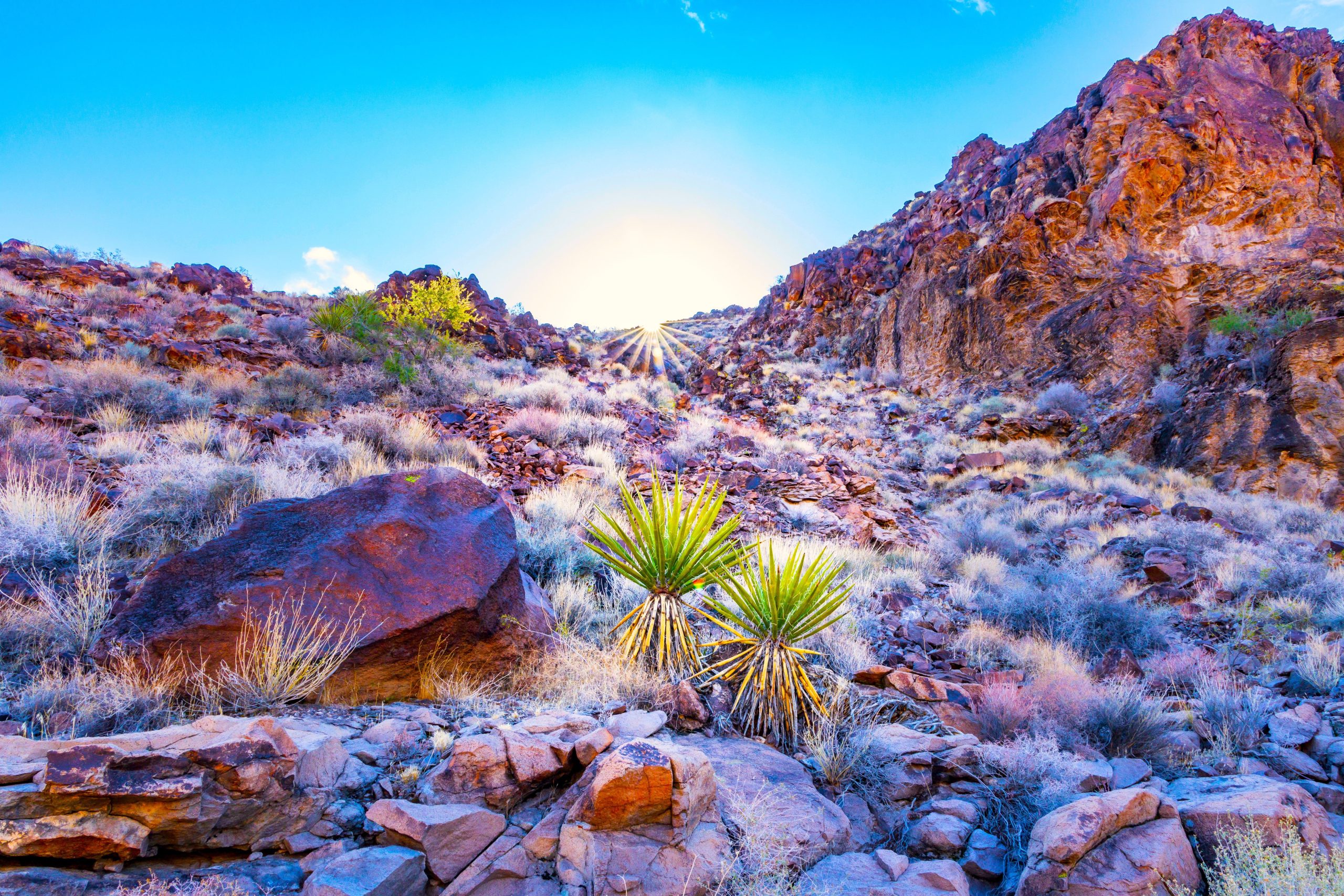 Le parc sous-estimé du Nevada avec des secrets anciens et des aventures au niveau du parc national