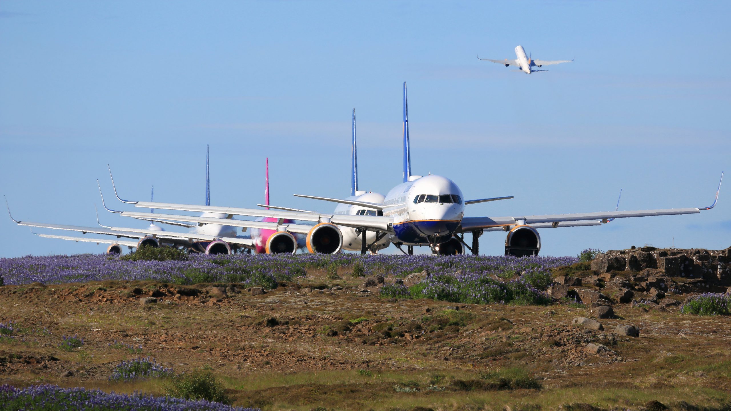 WOW: 6.855 vuelos se cancelaron el viernes después de la interrupción global de TI