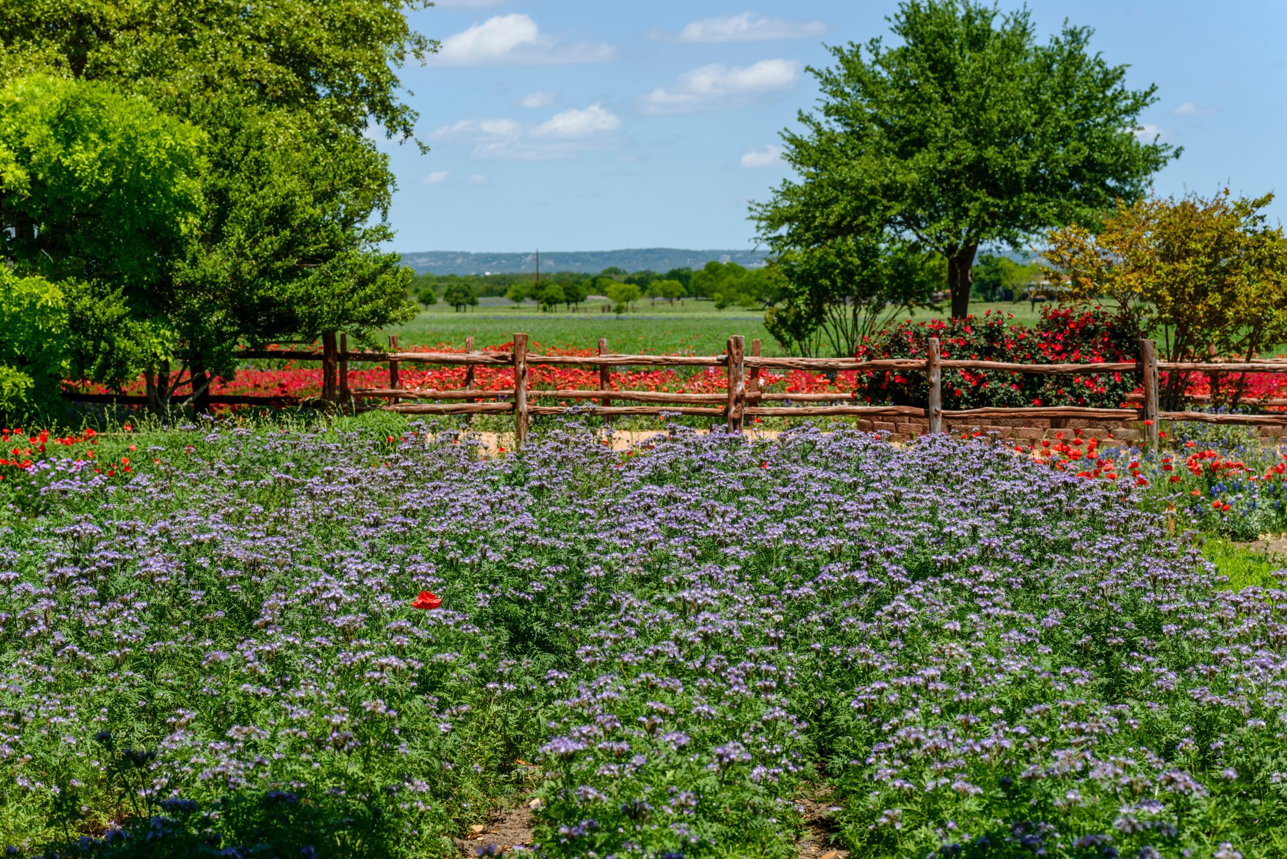 Esta pequena cidade do Texas é a “Alemanha do Texas”