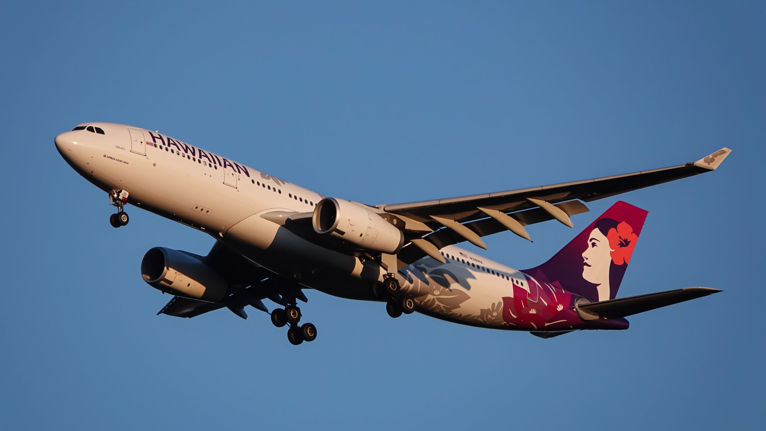 Hawaiian Airlines Eparholder Files en lois pour bloquer l'accord de prise de contrôle des compagnies aériennes de l'Alaska