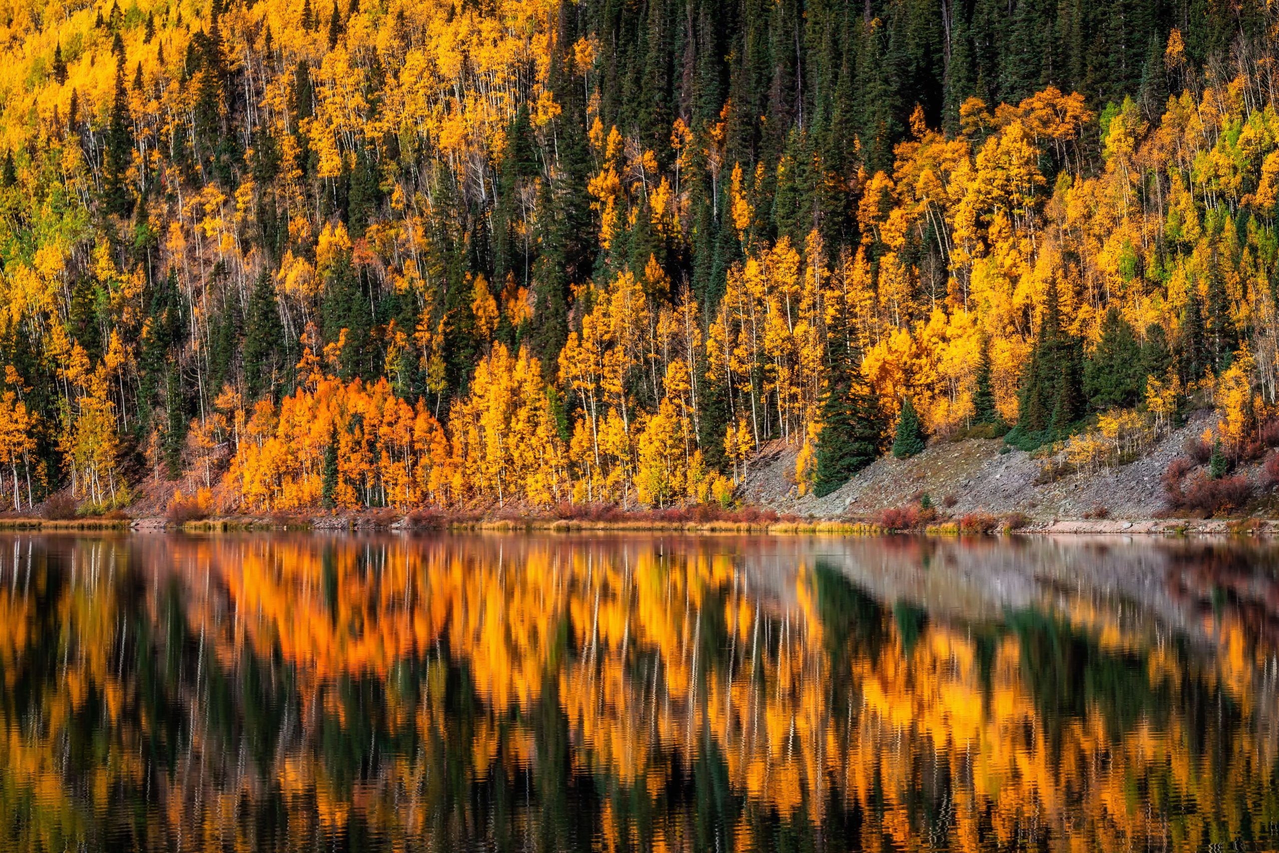 7 mejores ciudades de Colorado para otoño con vibraciones de telururo, pero mejor