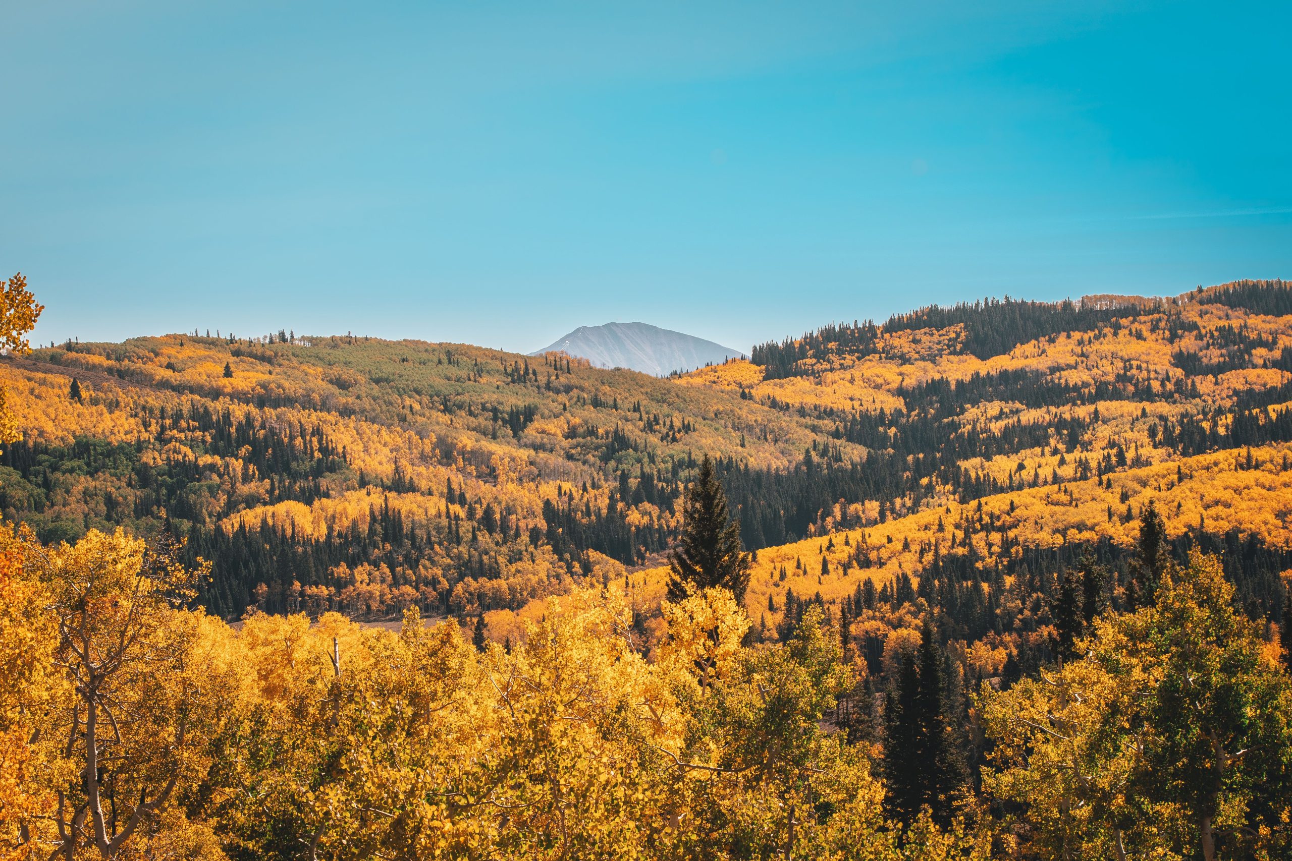 Voir le meilleur feuillage d'automne de Californie et Colorado sur ce train pittoresque Amtrak