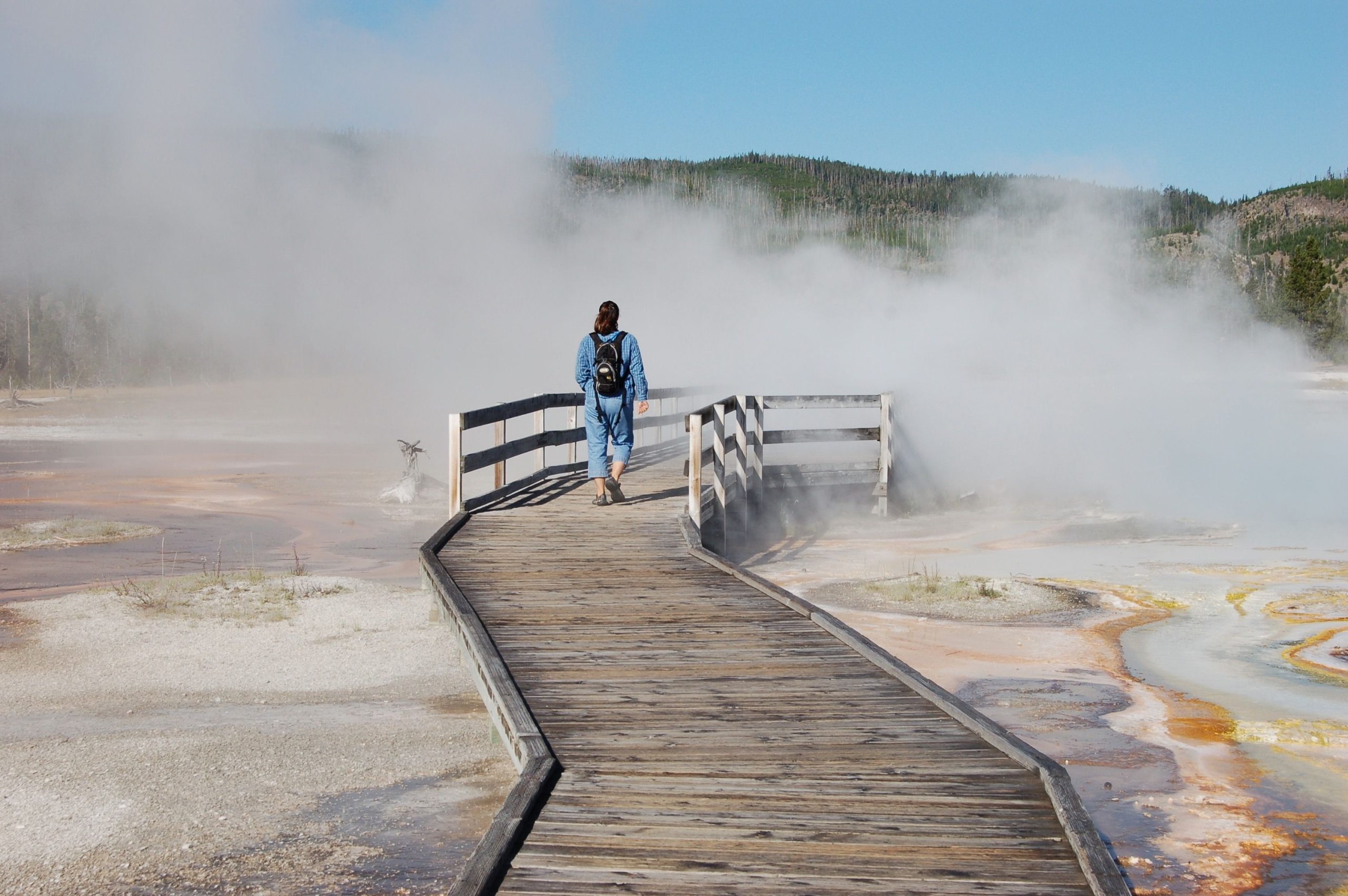 Seattle Woman recebe sentença de prisão depois de sair do calçadão em Yellowstone