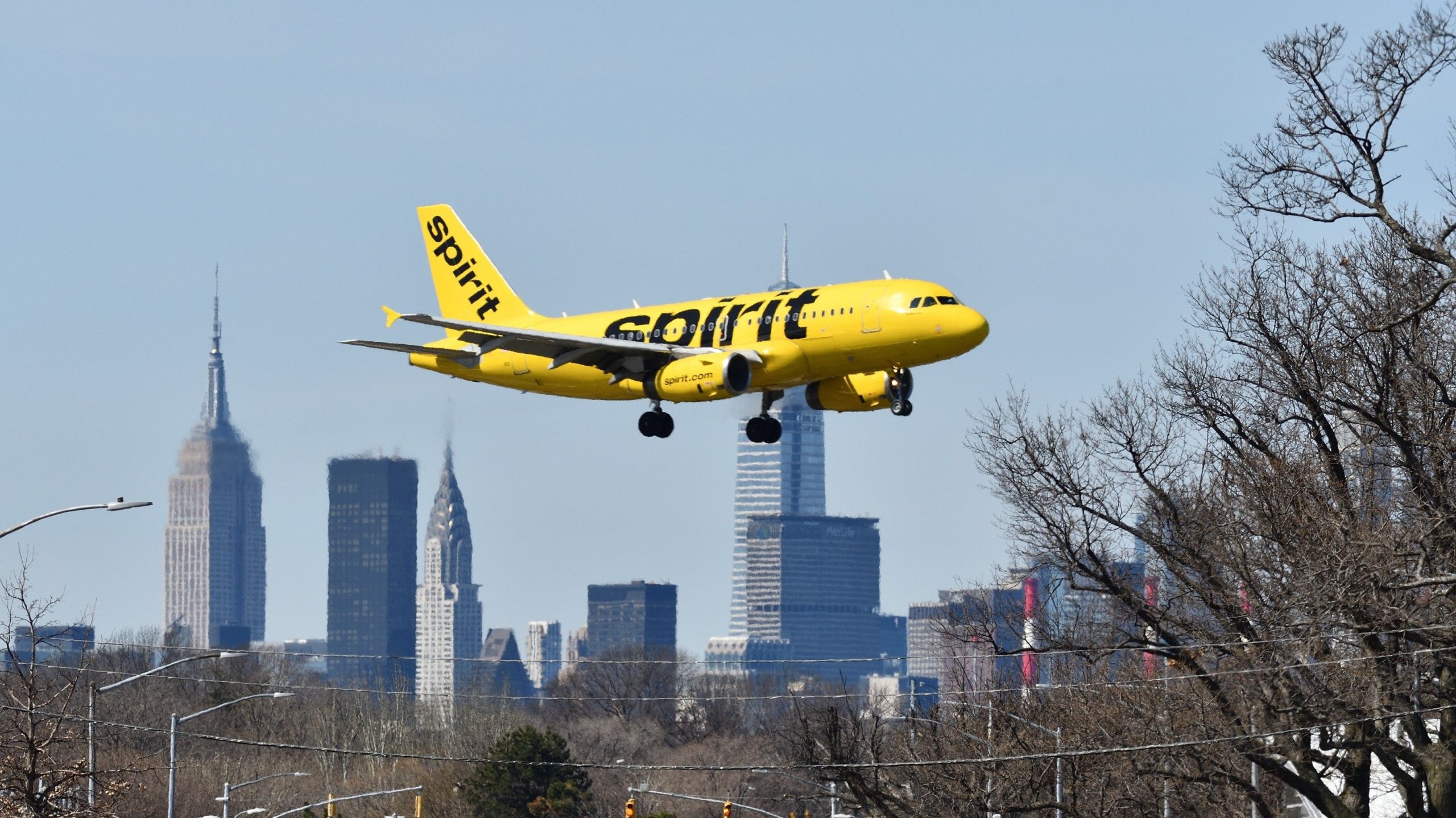 La créature provoque le chaos à Spirit Airlines Gate à la Laguardia lorsqu'il tombe du plafond
