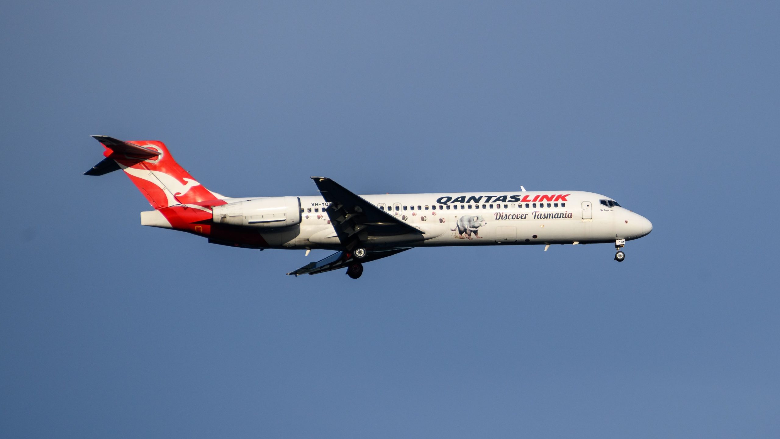 Contrastes del motor trasero: 5 diferencias entre el Boeing 717 y el McDonnell Douglas DC-9